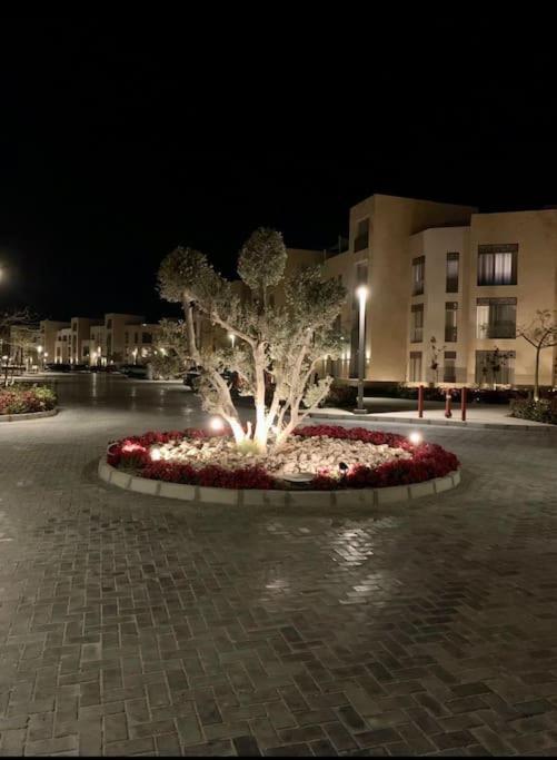 Mangroovy- 1br Sparkling Appartement *